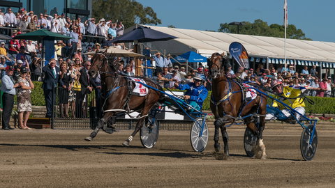 Club Menangle - Tourism Bookings 2