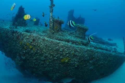 Curtin Artificial Reef Dive Site - Events Australia 1
