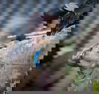 Delta Force Paintball - Events Australia