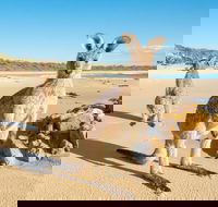 Diamond Head Beach - Events Australia