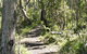 Euglah Rock Walking Track - thumb 0