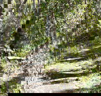 Euglah Rock Walking Track - Events Australia