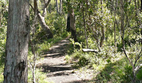 Euglah Rock Walking Track - Tourism Bookings 0