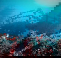 ex HMAS Adelaide - Events Australia