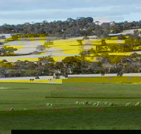 Fini Olives - Events Australia