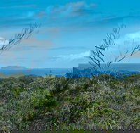 Forest Walking Track Crowdy Bay National Park - Events Australia