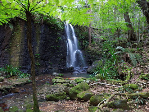 Gold Coast Hinterland Great Walk - Events Australia 1