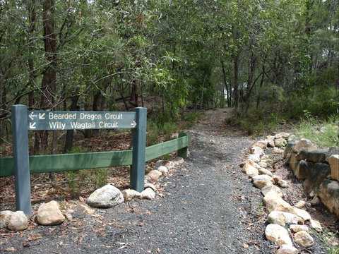 Haig Street Quarry Bushland Reserve Trails - Events Australia 1