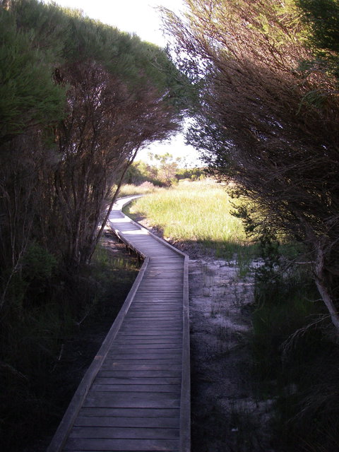 Kepwari Trails Wetland Wonderland - Events Australia 1