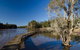 Longneck Lagoon Walking Track - thumb 0