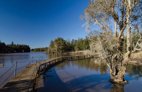 Longneck Lagoon Walking Track - Events Australia 0