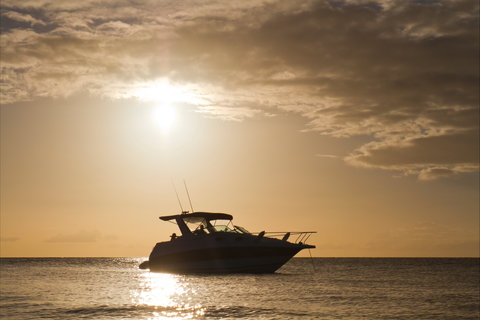 Maaroom - Events Australia 0