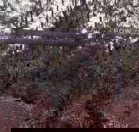 Marrinup Trail Dwellingup - Events Australia