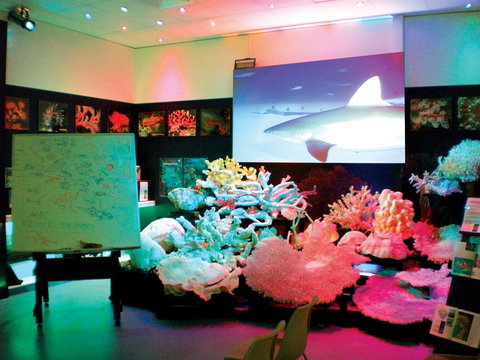 Marine Discovery Centre Hastings Point - Events Australia 0