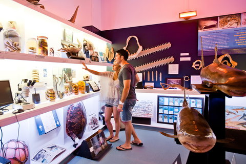 Marine Discovery Centre Hastings Point - Events Australia 1
