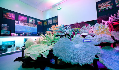 Marine Discovery Centre Hastings Point - Events Australia 2