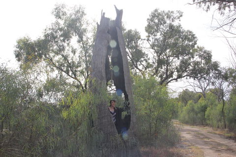 Martin Bend Wetland And Walking Trail - Events Australia 1