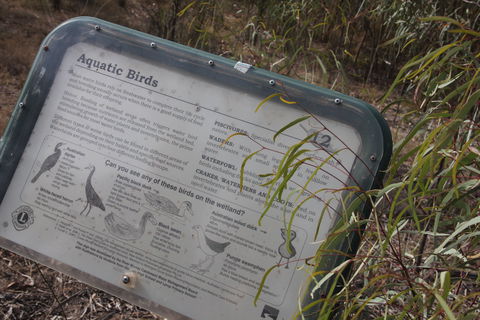 Martin Bend Wetland And Walking Trail - Events Australia 2