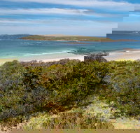 Murramarang Aboriginal Area - Events Australia