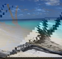 North West Island - Events Australia
