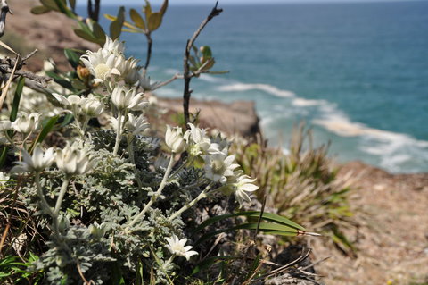 Perpendicular Point - Events Australia 1