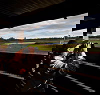 Reed Beds Bird Hide Boardwalk - Events Australia