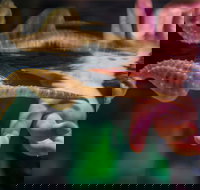 Seahorse World - Events Australia