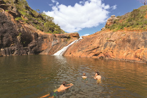 Serpentine - Tourism Bookings 0