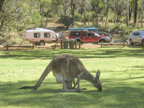 Serpentine - Tourism Bookings 1