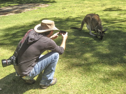 Serpentine - Tourism Bookings 2