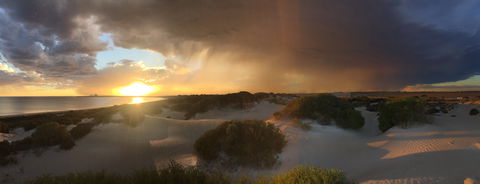 Shelly Beach Dune Walk Trail - Events Australia 2
