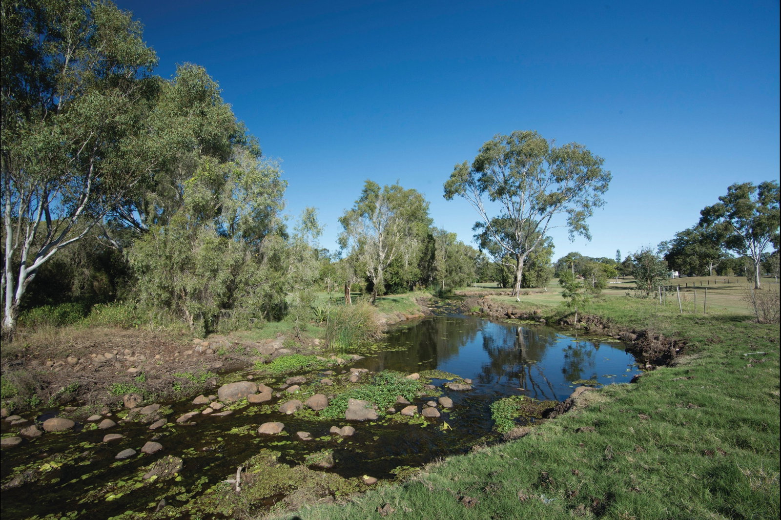 Millbank QLD Tourism Bookings