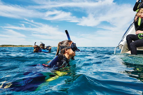 Swim With Dolphins Day Trip - Events Australia 0