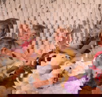 Tambo Teddies - Events Australia