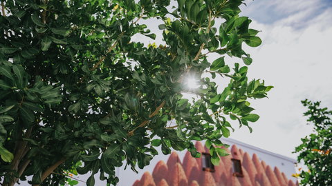 The Bourke Street Link - Events Australia 2