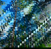 The Four Aces - Events Australia