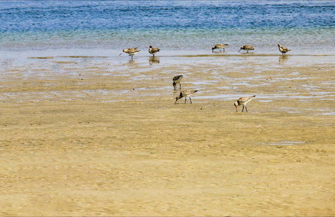Towra Beach - Tourism Bookings 0