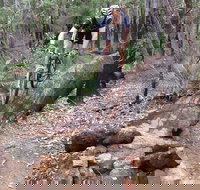 Turner Hill Mountain Bike Trail Murray - Events Australia