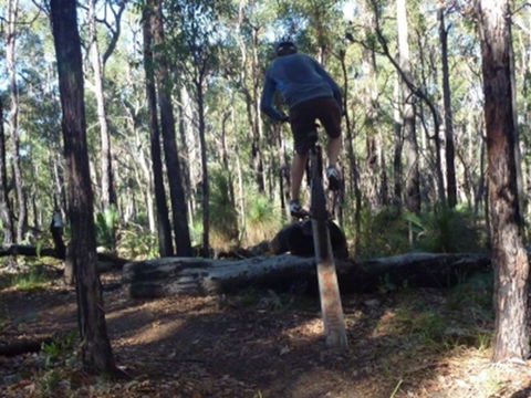 Turner Hill Mountain Bike Trail, Murray - Events Australia 1