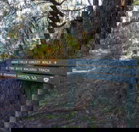 Arthurs Seat to Kings Falls Walk - Accommodation Europe