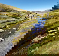 Australian Alps Walking Track - Events Australia