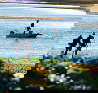 Ayr - Events Australia