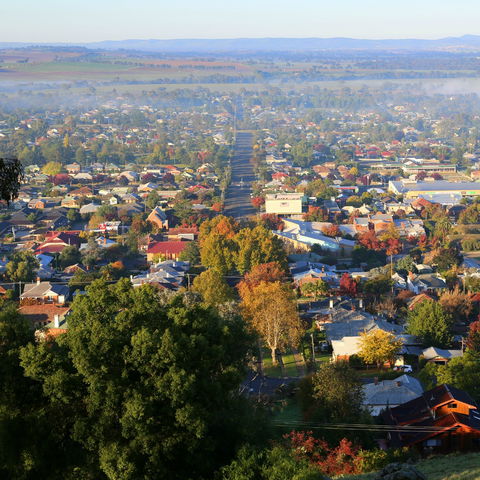 Bellevue Hill Reserve - Events Australia 1