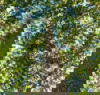 Big Sky National Parks - Events Australia