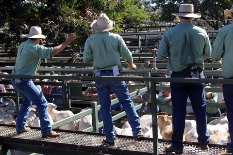 Blackall Saleyards - Events Australia 2