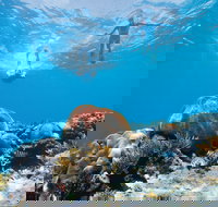 Capricorn Coast and Great Keppel Island Drive Itinerary - Events Australia