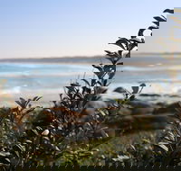 Cape Conran Coastal Park - Events Australia
