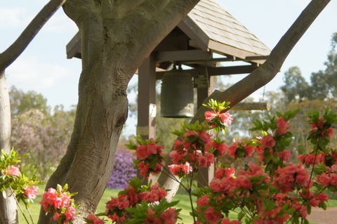 Cowra Japanese Garden And Cultural Centre - Events Australia 1