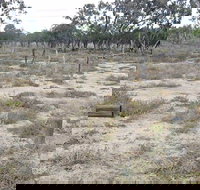 Culgoa Connellys Track - Events Australia