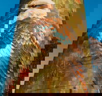 Deniliquin Water Tower Mural - Events Australia